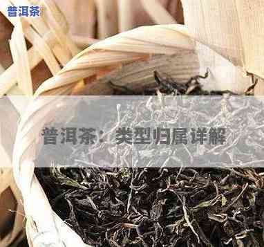 用泥包的普洱茶：类型与类别全解析