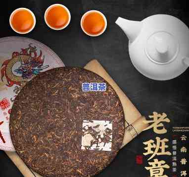 老班章与七子饼茶的区别、价格及优劣比较