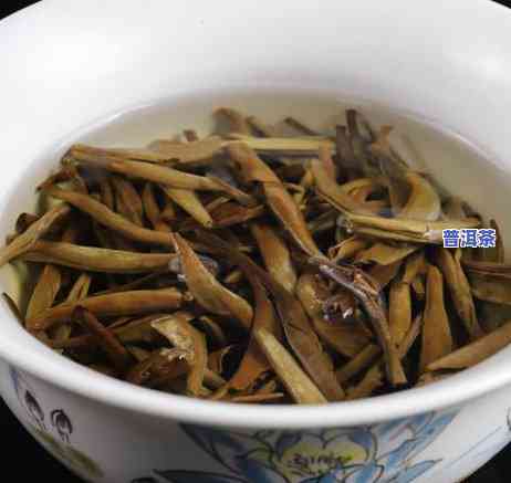 怎样做普洱茶，从采摘到冲泡，详解普洱茶的制作过程