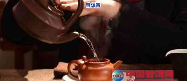 怎样用紫砂泡普洱茶窍门图片全解