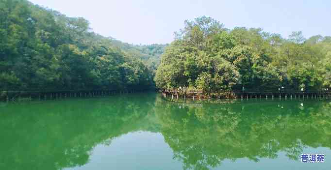 普洱梅子湖公园图片：探索云南美景的完美之地