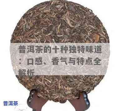 普洱茶的味道究竟是什么？探讨其应有的口感与特点