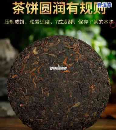 普洱茶饼储藏神器在哪里买，寻找普洱茶饼储藏神器？购买指南在这里！