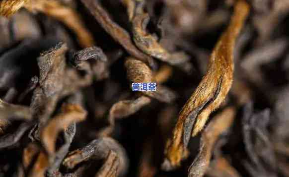 普洱茶东北储存时间多长-普洱茶东北储存时间多长合适