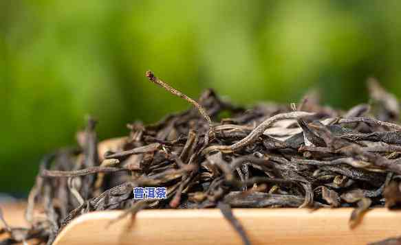 普洱茶东北储存时间多长-普洱茶东北储存时间多长合适