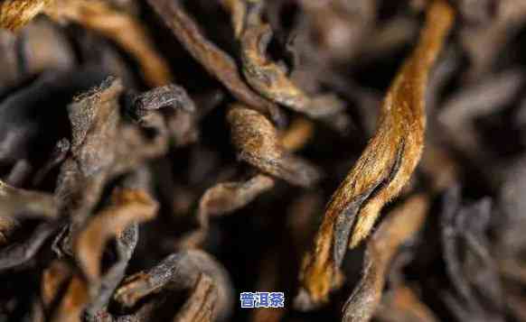 普洱茶东北储存时间长吗-普洱茶东北储存时间长吗能喝吗