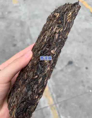 老班章800年母树-老班章800年古树有吗