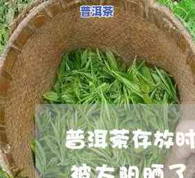 熟普洱茶可以晒太阳吗，关于熟普洱茶的一个争议：它是不是能晒太阳？