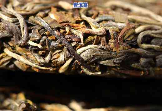 熟普洱茶：苦的好还是不苦的好？口感怎样选择？