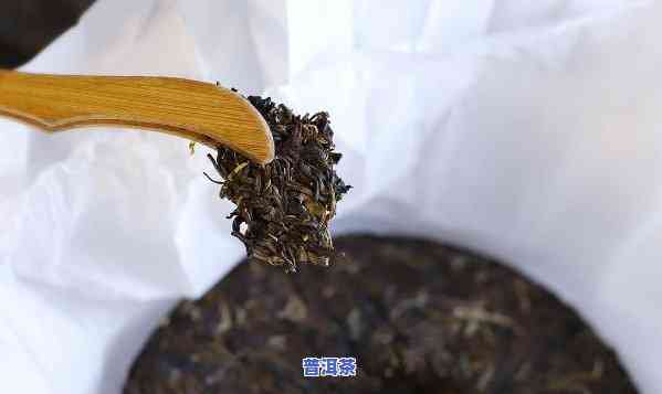 好普洱茶的特点与鉴别方法全解析