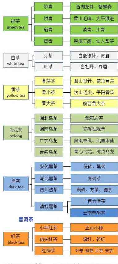 普洱茶玩法大全：从入门到精通，玩转普洱茶世界