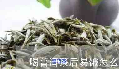 喝普洱茶后饿：起因解析