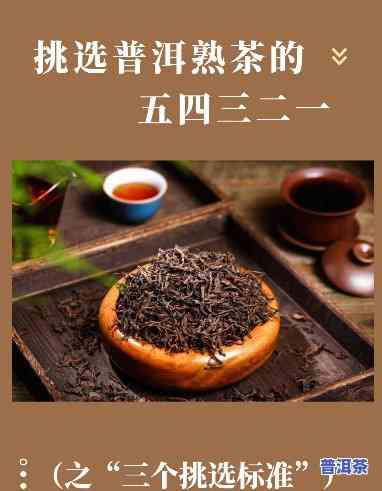 熟普洱的起源与发展：从何时开始制作，到普洱熟茶的出现