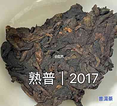 熟普洱哪一年开始有-熟普是1973年发明的