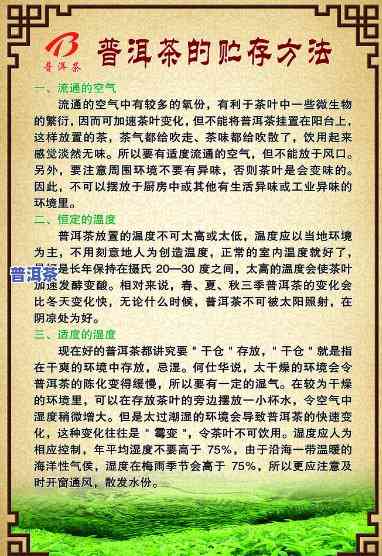 东北普洱茶的更佳存放方法：详细解析与实践建议