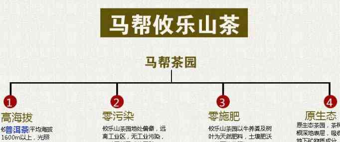 攸乐普洱茶属于什么茶系列产品？解析其产地与分类