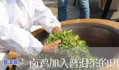 熟普洱茶能焖鸡吗？怎样做才能好喝？详细步骤解析