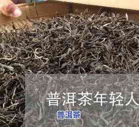 年轻人做普洱茶好不好呀，探讨年轻人是不是适合制作普洱茶