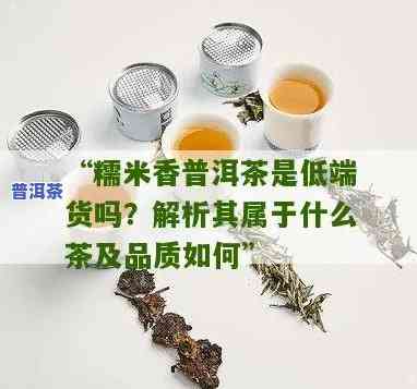 糯米香普洱茶是不是为低端货？详解其种类与品质