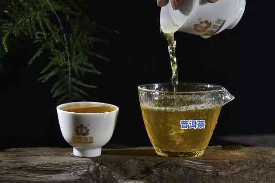 普洱杯是什么，揭秘普洱杯：一场关于茶叶的盛宴