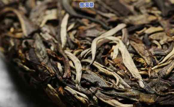 古树普洱茶用价值高吗-古树普洱茶用价值高吗