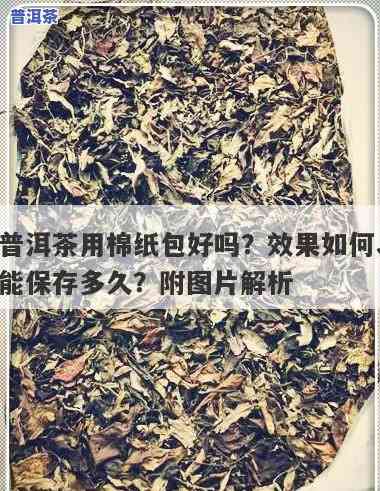 普洱茶棉纸仓储方法视频讲解：从入门到精通