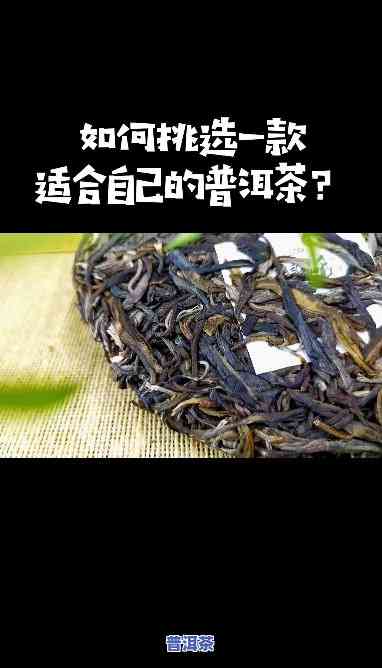 很嫩的普洱茶推荐：口感醇厚，值得一试