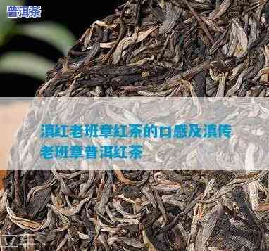 大红袍与老班章哪个更珍贵？探究老班章红茶的价格及口感