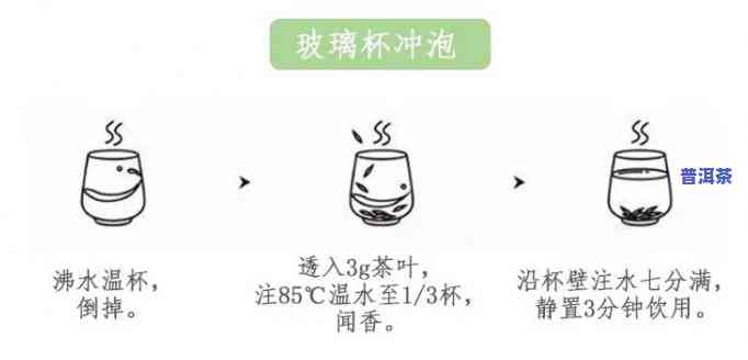 普洱茶水杯冲泡方法详解：步骤图解与视频教程