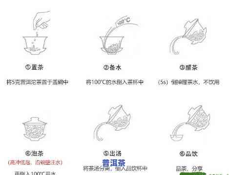 普洱茶水杯冲泡方法详解：步骤图解与视频教程