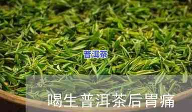 和普洱茶胃疼：能否饮用？