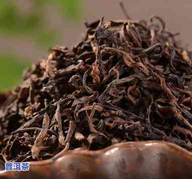 勐海普洱茶有哪些品种，探索勐海普洱茶的魅力：熟悉其多样化的品种