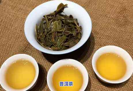 喝普洱茶刮油说法有依据吗？探讨其效果与科学性