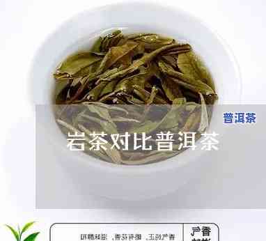 岩茶对比普洱茶哪个好喝些，岩茶与普洱茶：口感对决，谁更胜一筹？