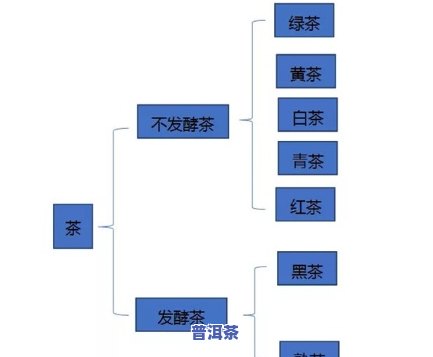 生普洱算不算绿茶？探讨其是不是属于绿茶类别