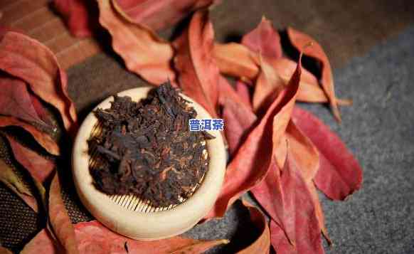 怎样选熟普洱茶：从茶饼到口感，全面解析选购技巧