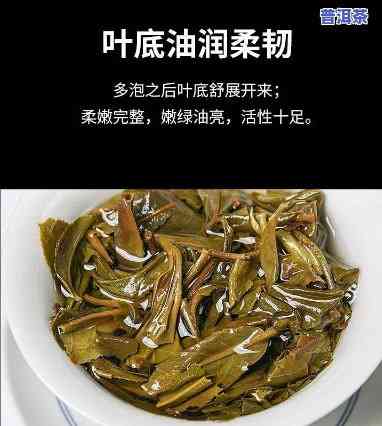 普洱茶是叶子还是梗，解密普洱茶：它是叶子还是梗？