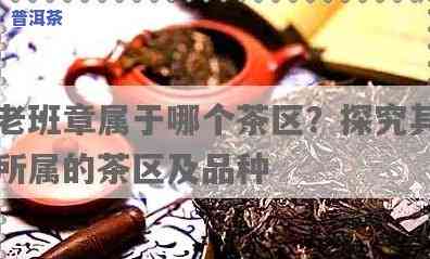 老班章茶属于什么茶类，探秘茶叶世界：熟悉老班章茶的归属类别