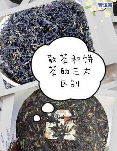 普洱散茶：外形特点与茶饼比较