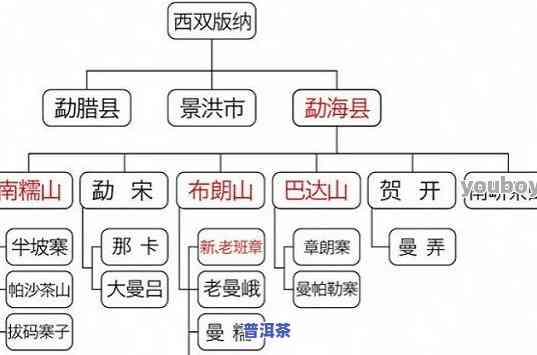 巴叶寨普洱茶价格表图片大全：全面熟悉产品及其市场价格