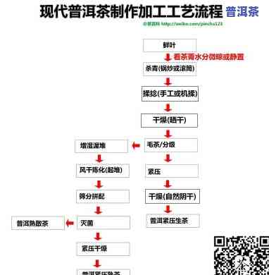 冷萃普洱茶制作流程图片大全：详细步骤与视频教程