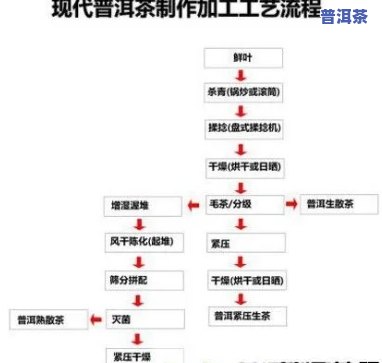 冷萃普洱茶制作流程视频讲解教程大全