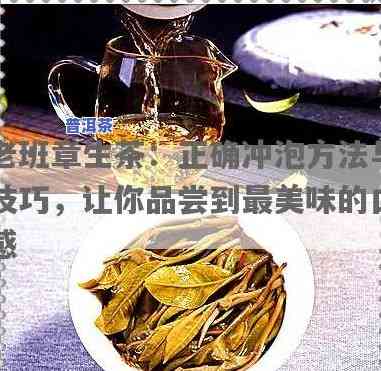 老班章怎样泡茶，揭秘老班章的正确冲泡方法，让你品味不一样的普洱茶香！