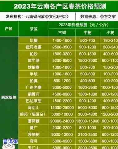 冰岛普洱茶甜度11，揭示冰岛普洱茶的秘密：甜度高达11！