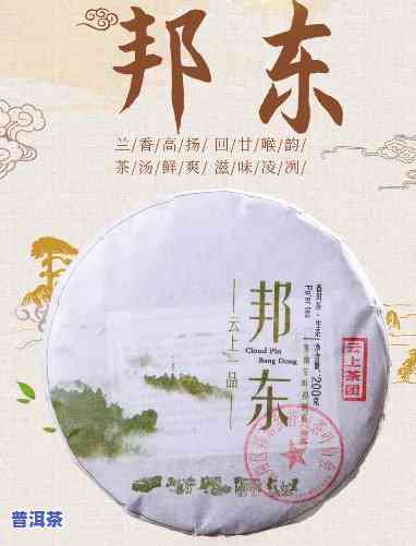 大邦东普洱茶有哪些产地-大邦东普洱茶有哪些产地的