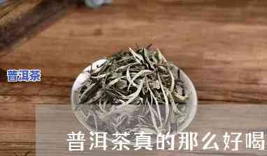 阿彬家的普洱茶是不是真实？探究真相的视频