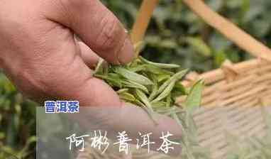 阿彬家的普洱茶是不是真实？探究真相的视频