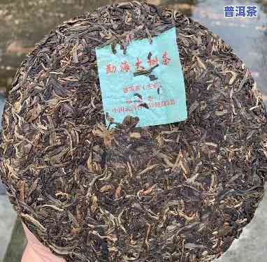 福海茶厂2012年老班章古树，探秘福海茶厂：2012年老班章古树的独特魅力