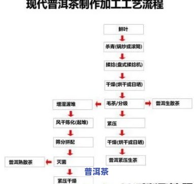 普洱茶工厂生产流程视频讲解，深入揭秘：普洱茶工厂生产流程全解析视频讲解