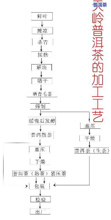 全面熟悉普洱茶工厂生产流程：图片、视频大汇总！